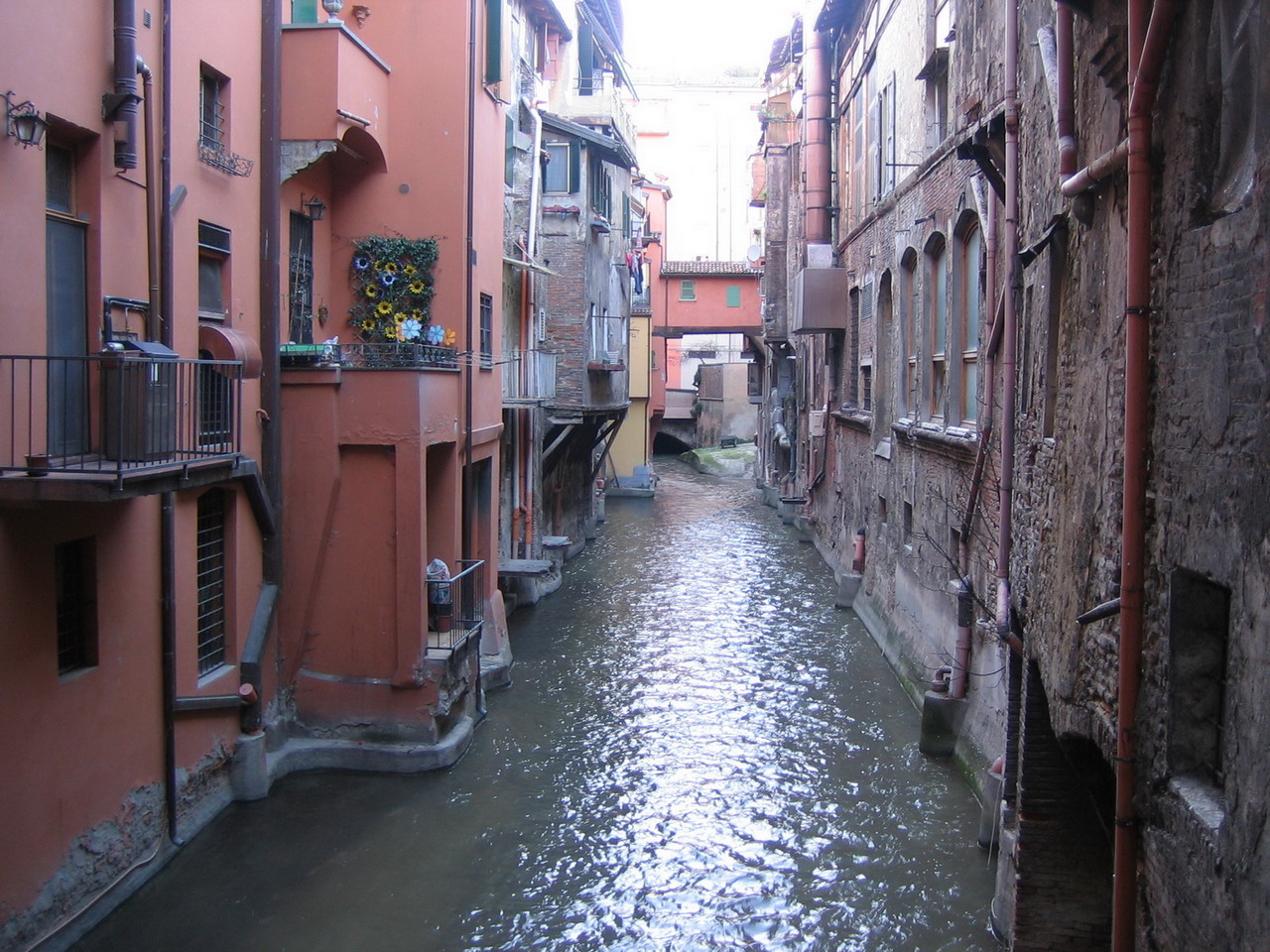 Bologna